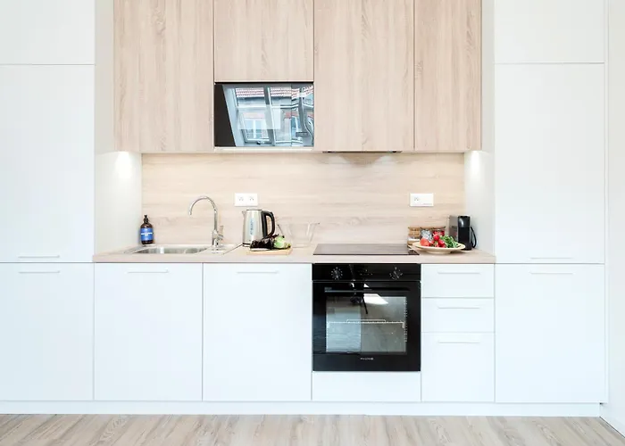 Days - Modern With Ac Near King's Park 公寓 布拉格