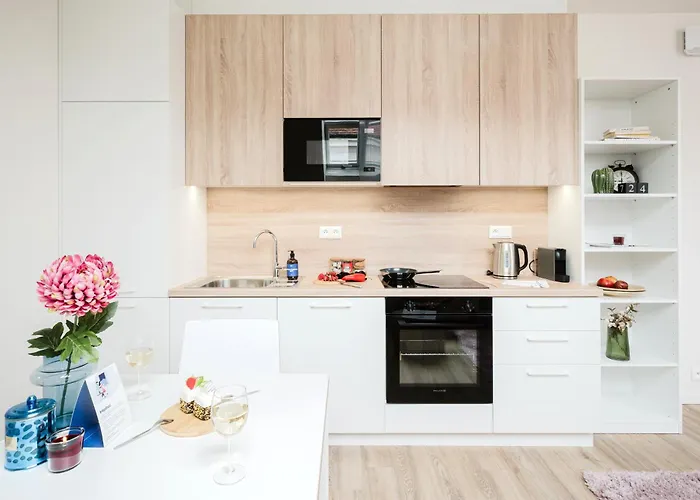 Days - Modern With Ac Near King's Park * 布拉格